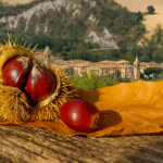 Rotella tra castagne e sentieri